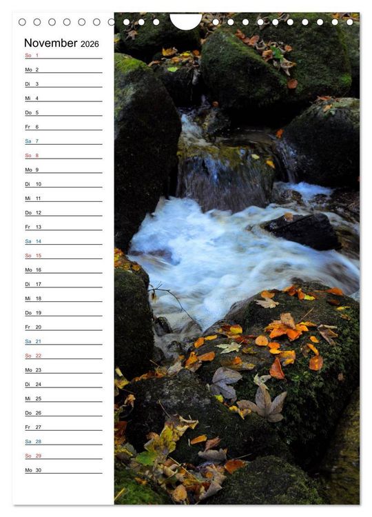 Produktbild: Schwarzwald (Wandkalender 2026 DIN A4 hoch), CALVENDO Monatskalender