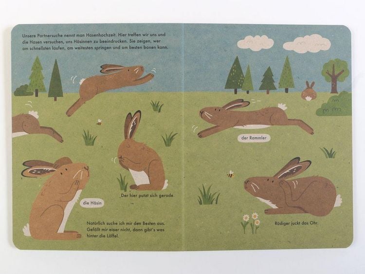 Produktbild: Ich bin der Hase