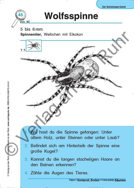 Produktbild: Tiere in Kompost, Boden und morschen B&auml;umen