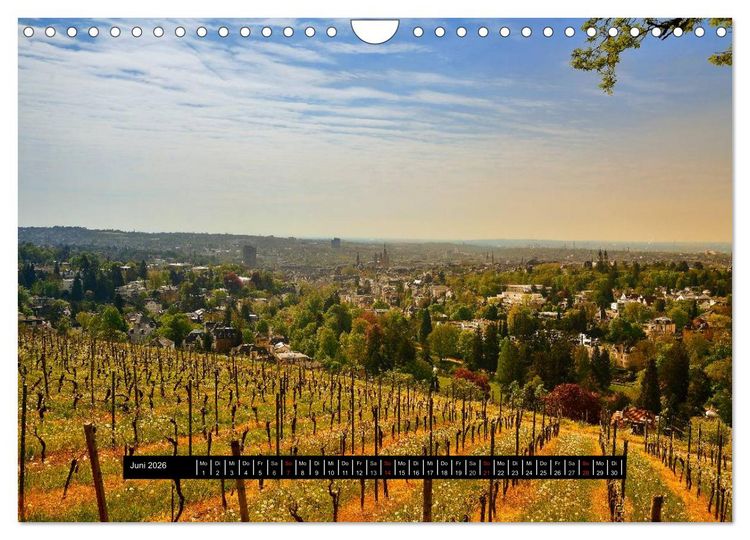 Produktbild: Wiesbaden Aquis Mattiacis (Wandkalender 2026 DIN A4 quer), CALVENDO Monatskalender