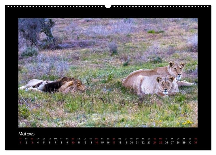 Produktbild: S&uuml;dafrika - Garden Route (Wandkalender 2026 DIN A2 quer), CALVENDO Monatskalender