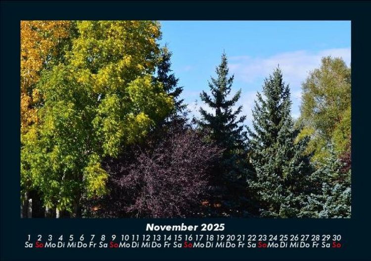 Produktbild: B&auml;ume 2025 Fotokalender DIN A5