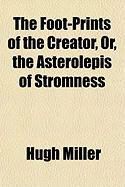 Produktbild: The Foot-Prints of the Creator, Or, the Asterolepis of Stromness
