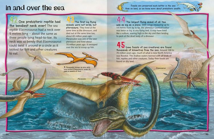 Produktbild: Matthews, R: 100 Facts Prehistoric Life