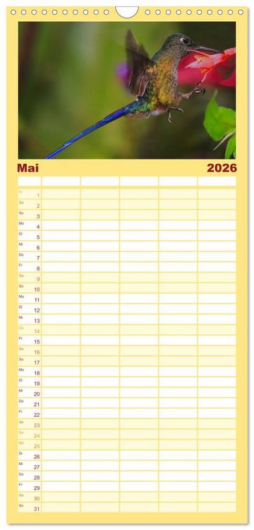 Produktbild: Familienplaner 2026 - Kolibris; Anmut, Sch&ouml;nheit, Farben mit 5 Spalten (Wandkalender, 21 x 45 cm) CALVENDO