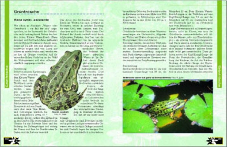 Produktbild: Amphibien am Gartenteich