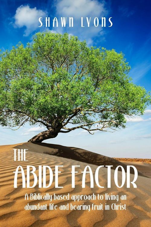 Produktbild: The Abide Factor