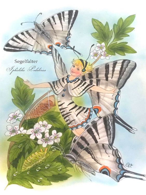 Produktbild: CALVENDO Puzzle Iphiclides Podalirius - Segelfalter | 1000 Teile Lege-Gr&ouml;&szlig;e 64x48cm Foto-Puzzle f&uuml;r gl&uuml;ckliche Stunden