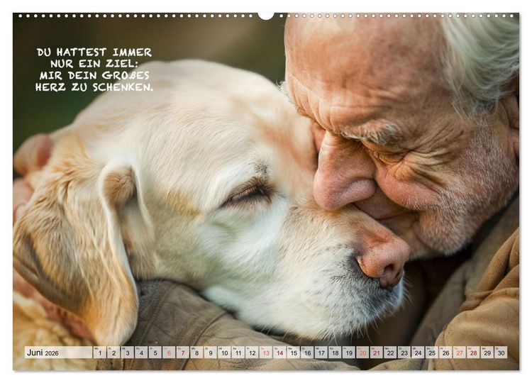 Produktbild: Hunde und ber&uuml;hrende Spr&uuml;che (Wandkalender 2026 DIN A2 quer), CALVENDO Monatskalender