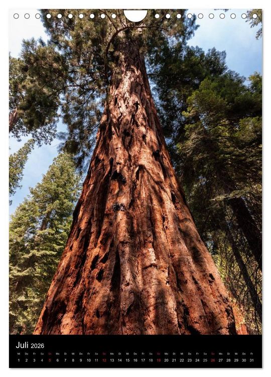 Produktbild: Idylle Pur - Der Yosemite National Park (Wandkalender 2026 DIN A4 hoch), CALVENDO Monatskalender
