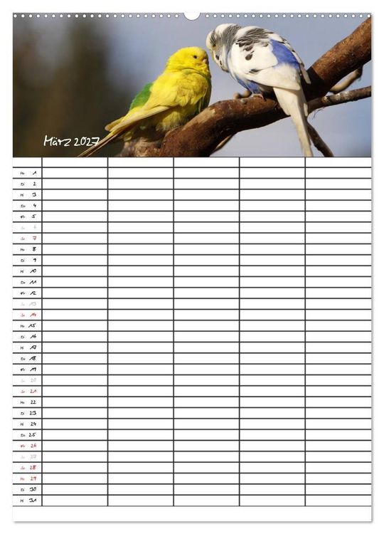 Produktbild: Wellensittiche (hochwertiger Premium Wandkalender 2027 DIN A2 hoch), Kunstdruck in Hochglanz