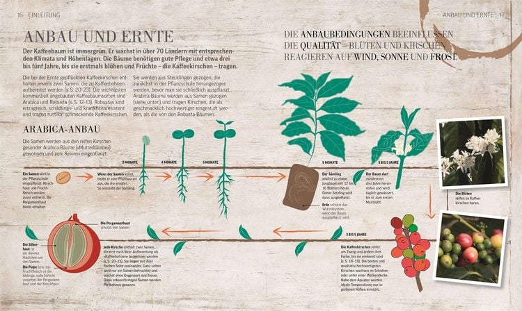 Produktbild: Das Kaffee-Buch