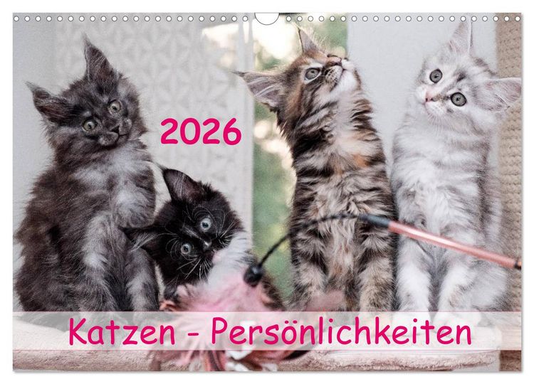 Produktbild: Katzen Pers&ouml;nlichkeiten 2026 (Wandkalender 2026 DIN A3 quer), CALVENDO Monatskalender
