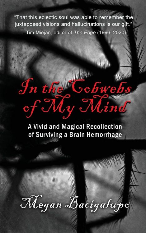 Produktbild: In the Cobwebs of My Mind