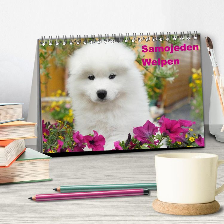 Produktbild: Samojeden Welpen (Tischkalender 2026 DIN A5 quer), CALVENDO Monatskalender