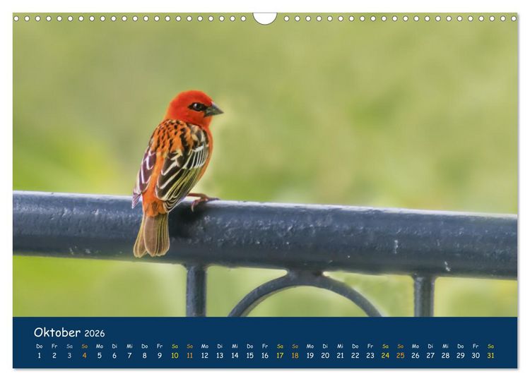 Produktbild: Faszinierende Tierwelt von Mauritius - Magische Momente der Natur (Wandkalender 2026 DIN A3 quer), CALVENDO Monatskalender