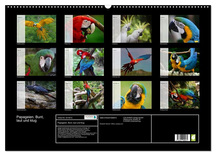 Produktbild: Papageien. Bunt, laut und klug (Wandkalender 2026 DIN A2 quer), CALVENDO Monatskalender