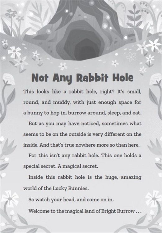 Produktbild: Lucky Bunnies Book 3