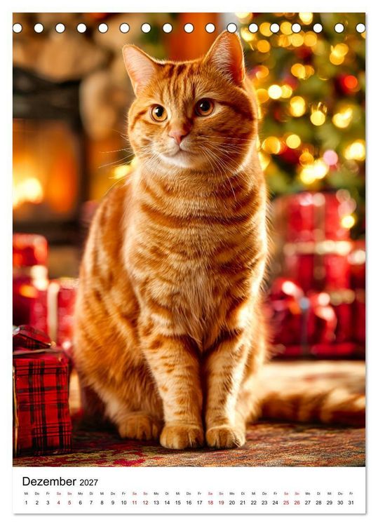 Produktbild: Feuer auf vier Pfoten - Die sch&ouml;nsten roten Katzen (Tischkalender 2027 DIN A5 hoch), CALVENDO Monatskalender