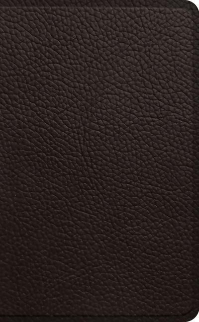 Produktbild: ESV Pocket Bible