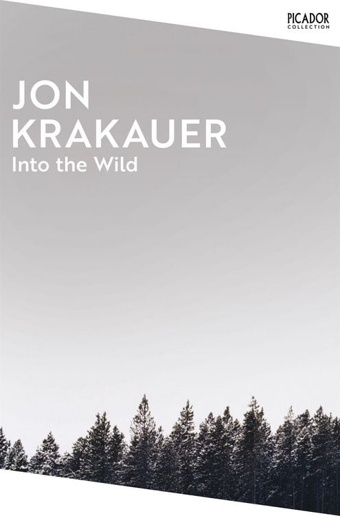 Produktbild: Into the Wild