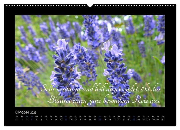 Produktbild: Goethes Blau. Gedanken zur Farbe (Wandkalender 2026 DIN A2 quer), CALVENDO Monatskalender