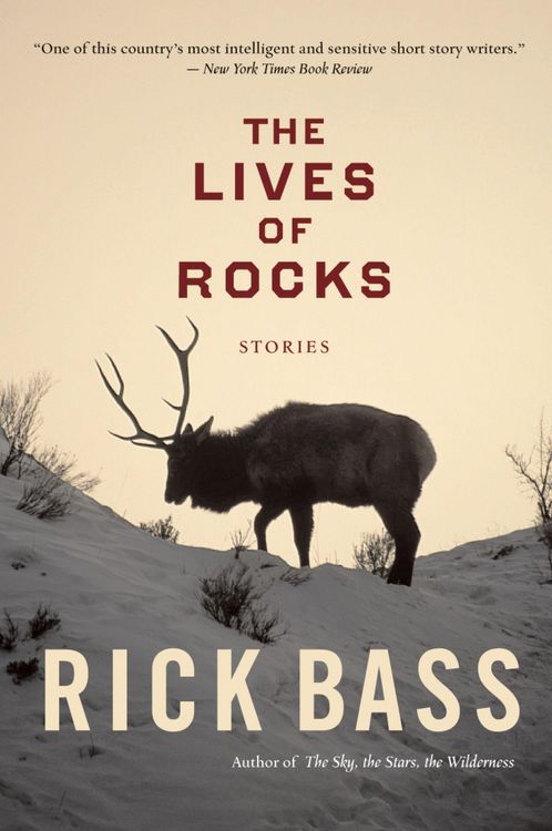 Produktbild: The Lives of Rocks