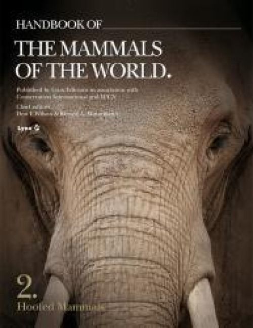 Produktbild: Handbook of the Mammals of the World. Vol.2