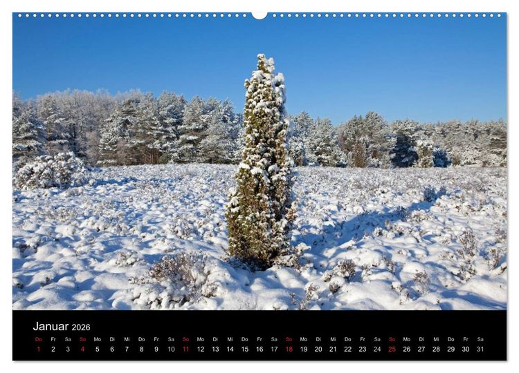 Produktbild: Hansestadt L&uuml;neburg und L&uuml;neburger Heide (hochwertiger Premium Wandkalender 2026 DIN A2 quer), Kunstdruck in Hochglanz