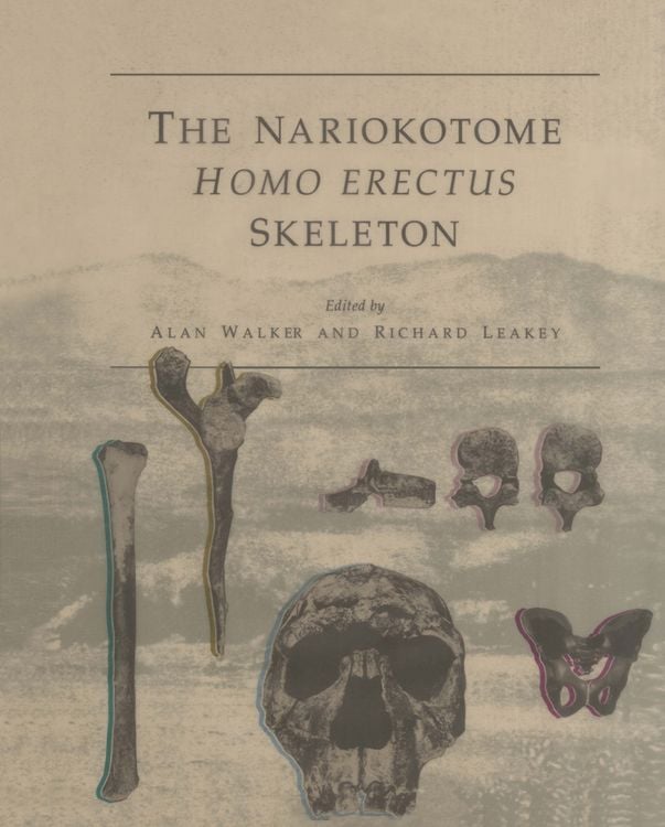 Produktbild: The Nariokotome Homo Erectus Skeleton