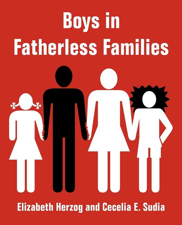 Produktbild: Boys in Fatherless Families