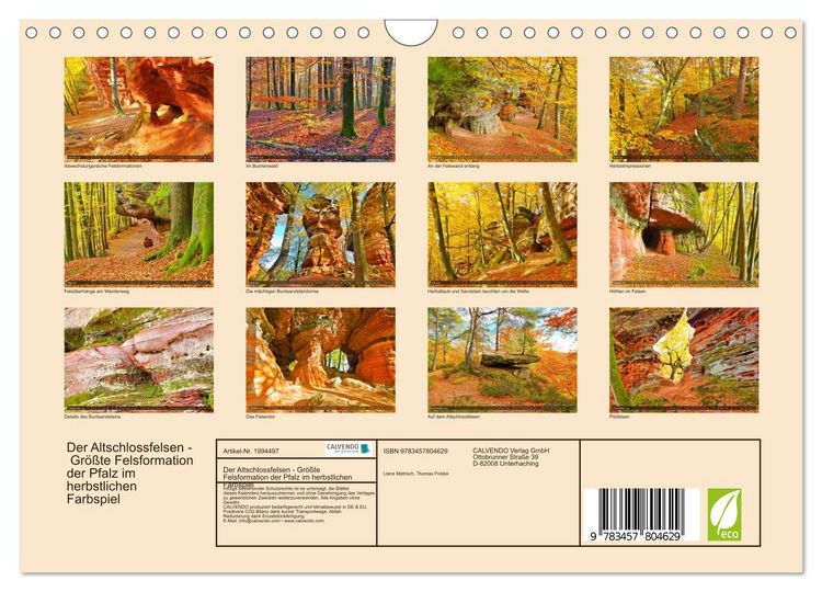 Produktbild: Der Altschlossfelsen - Gr&ouml;&szlig;te Felsformation der Pfalz im herbstlichen Farbspiel (Wandkalender 2026 DIN A4 quer), CALVENDO Monatskalender