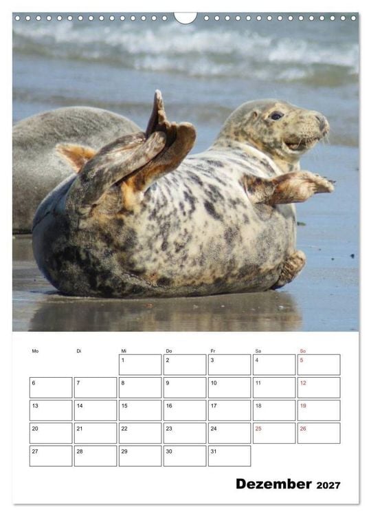 Produktbild: Liebenswerte Robben (Wandkalender 2027 DIN A3 hoch), CALVENDO Monatskalender