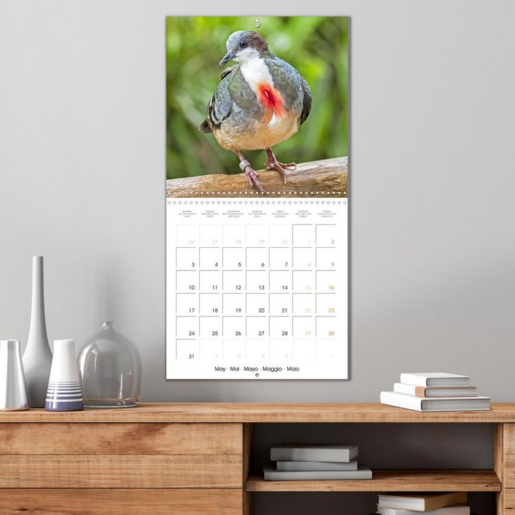 Produktbild: Doves: Gentle Beauty (Wall Calendar 2027 12 &times; 12 Inch) CALVENDO 12 Month Wall Calendar