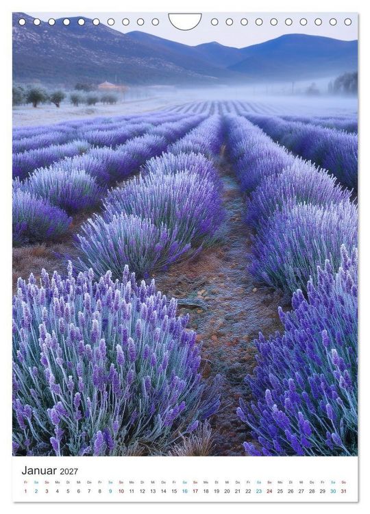 Produktbild: Der Sommer bl&uuml;ht violett (Wandkalender 2027 DIN A4 hoch), CALVENDO Monatskalender