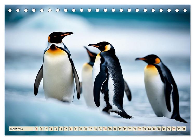 Produktbild: Kaiserpinguine - bezaubernde Fracktr&auml;ger (Tischkalender 2026 DIN A5 quer), CALVENDO Monatskalender