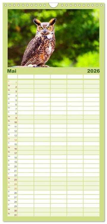 Produktbild: Familienplaner 2026 - Eulen - Wachsame und geheimnisvolle Augen mit 5 Spalten (Wandkalender, 21 x 45 cm) CALVENDO