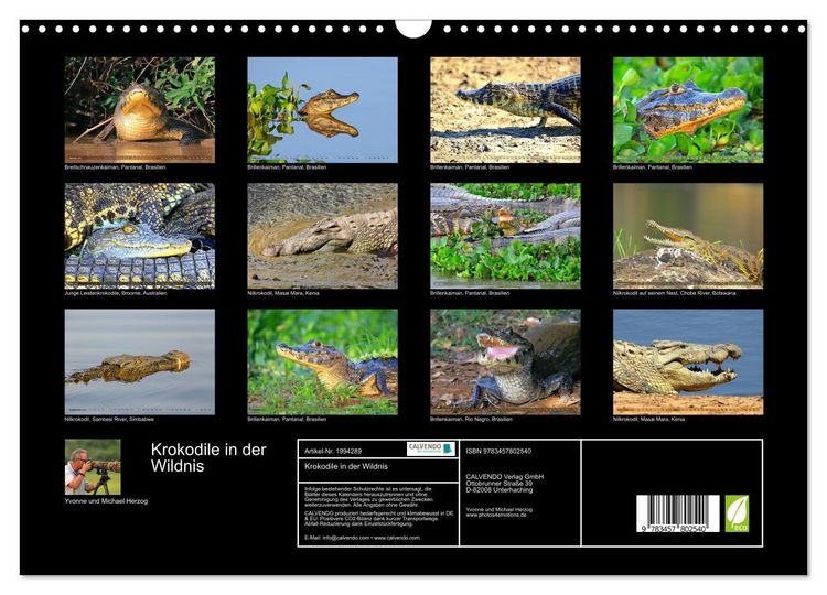 Produktbild: Krokodile in der Wildnis (Wandkalender 2026 DIN A3 quer), CALVENDO Monatskalender