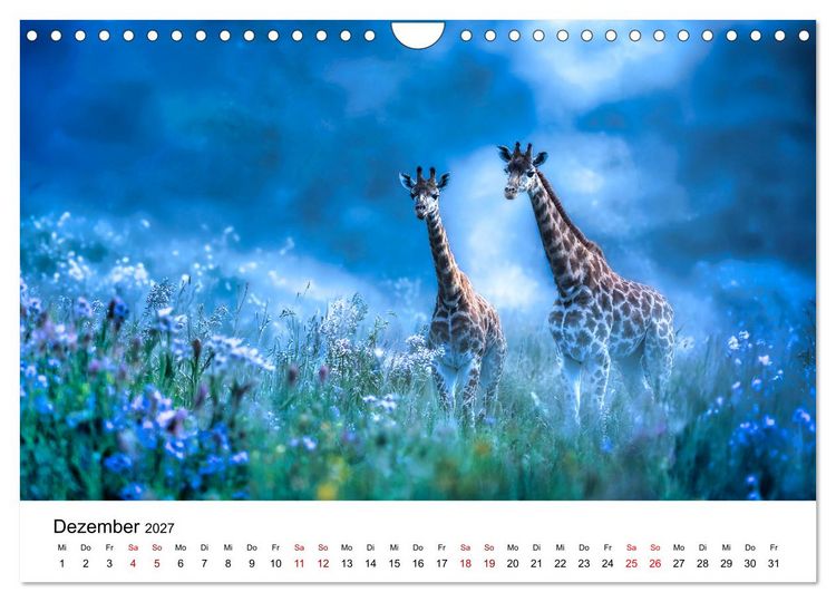 Produktbild: Sanfte Riesen - Giraffen in ihrer Welt (Wandkalender 2027 DIN A4 quer), CALVENDO Monatskalender