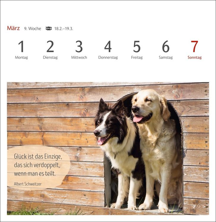Produktbild: Hunde Premium-Postkartenkalender 2027 - Freunde auf vier Pfoten; Kalender mit 53 Postkarten