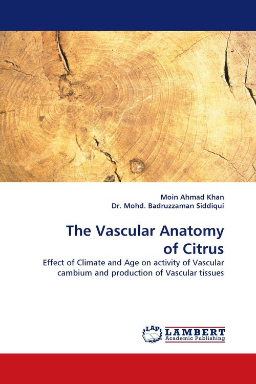 Produktbild: The Vascular Anatomy of Citrus