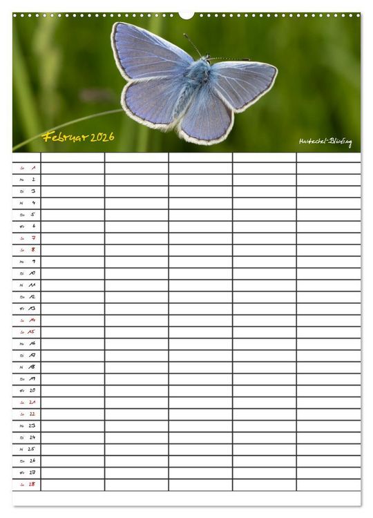 Produktbild: Schmetterlinge in Bayern (Wandkalender 2026 DIN A2 hoch), CALVENDO Monatskalender