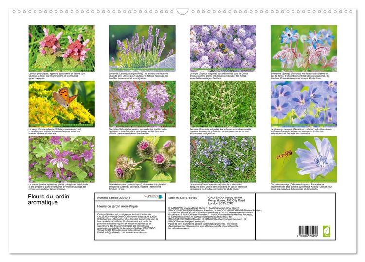 Produktbild: Fleurs du jardin aromatique (Calendrier mural 2027 DIN A2 vertical), CALVENDO calendrier mensuel