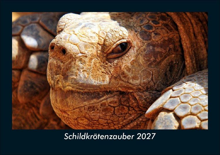 Produktbild: Schildkr&ouml;tenzauber 2027 Fotokalender DIN A5