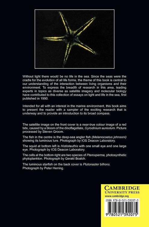 Produktbild: Light and Life in the Sea