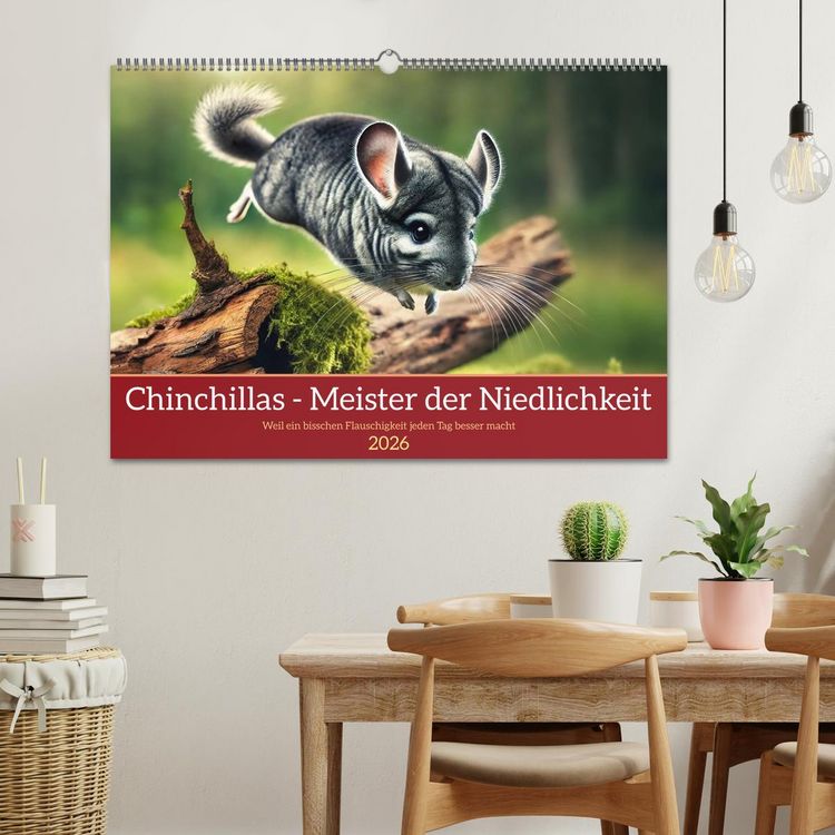 Produktbild: Chinchillas - Meister der Niedlichkeit (Wandkalender 2026 DIN A2 quer), CALVENDO Monatskalender