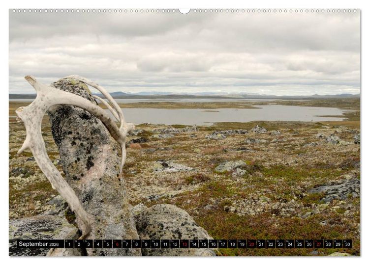 Produktbild: Streifzug durch Norwegens Hardangervidda (hochwertiger Premium Wandkalender 2026 DIN A2 quer), Kunstdruck in Hochglanz
