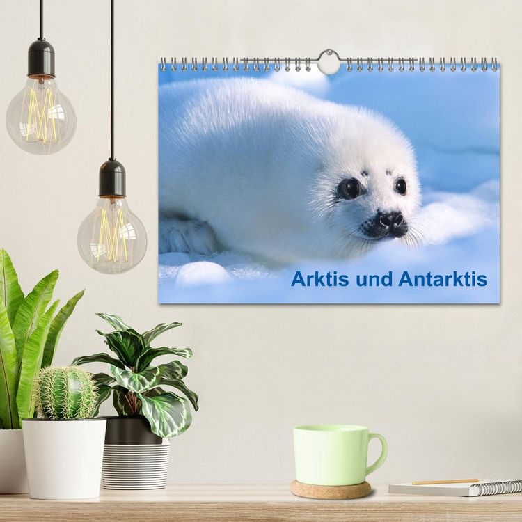 Produktbild: Arktis und Antarktis (Wandkalender 2026 DIN A4 quer), CALVENDO Monatskalender