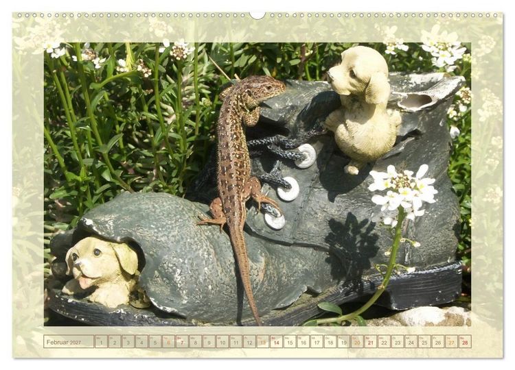 Produktbild: Minisaurier im Garten (Wandkalender 2027 DIN A2 quer), CALVENDO Monatskalender