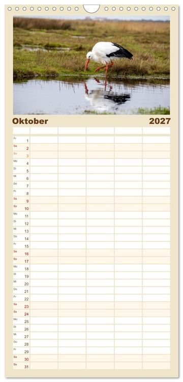 Produktbild: Familienplaner 2027 - Sankt Peter-Ording - Str&auml;nde, D&uuml;nen, Weite mit 5 Spalten (Wandkalender, 21 x 45 cm) CALVENDO